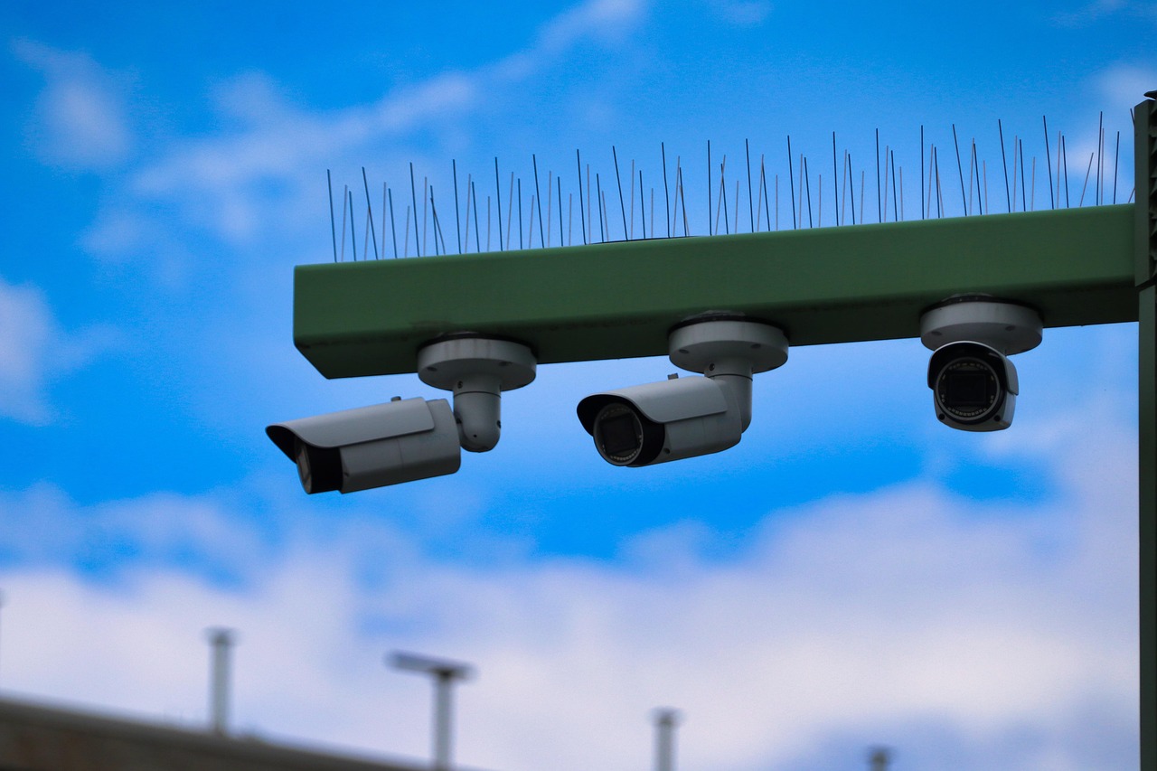 DDOS网页端平台|南昌金鱼网上购买平台官网