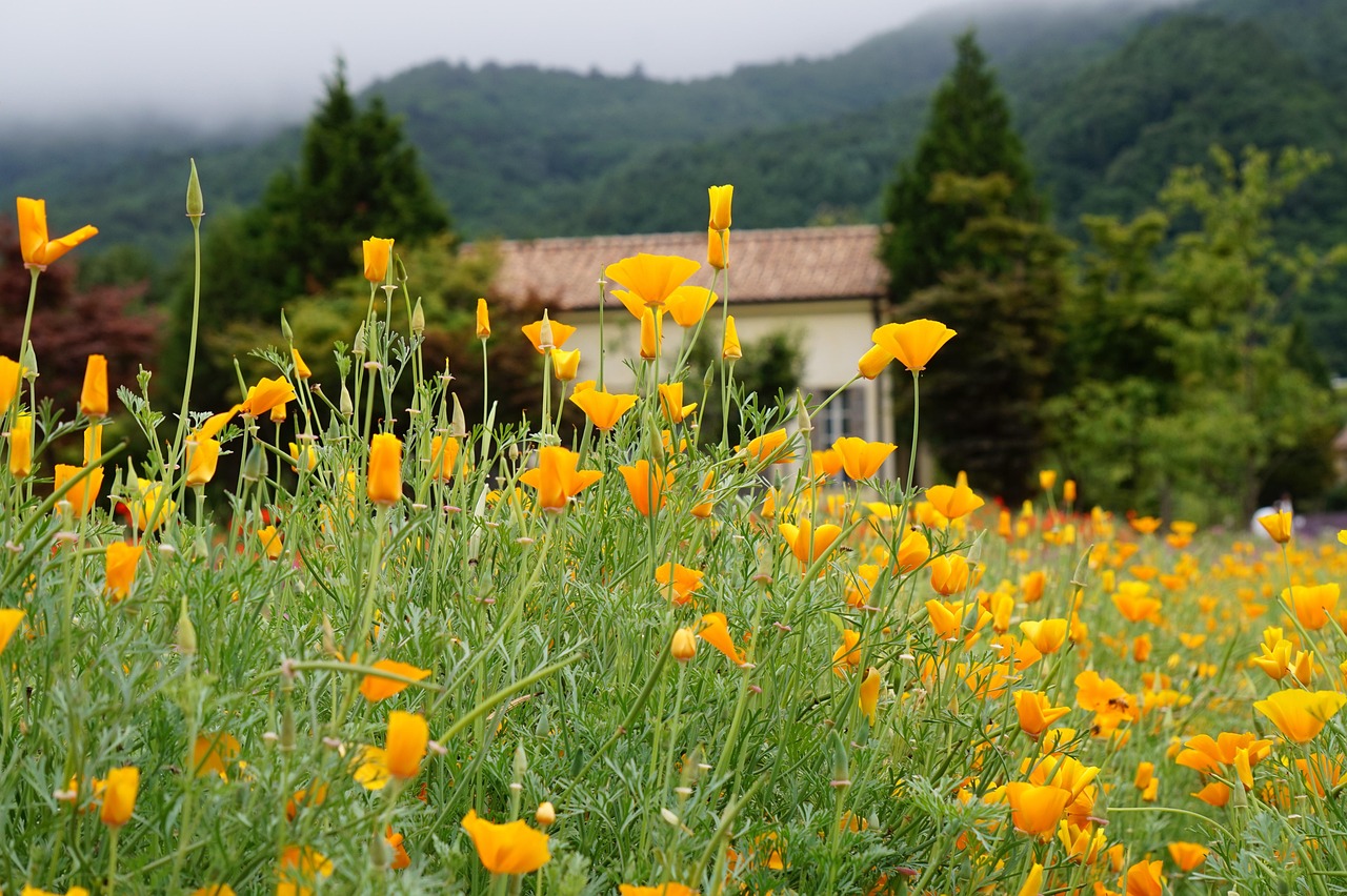 伊对实名账号：美团账号购买渠道