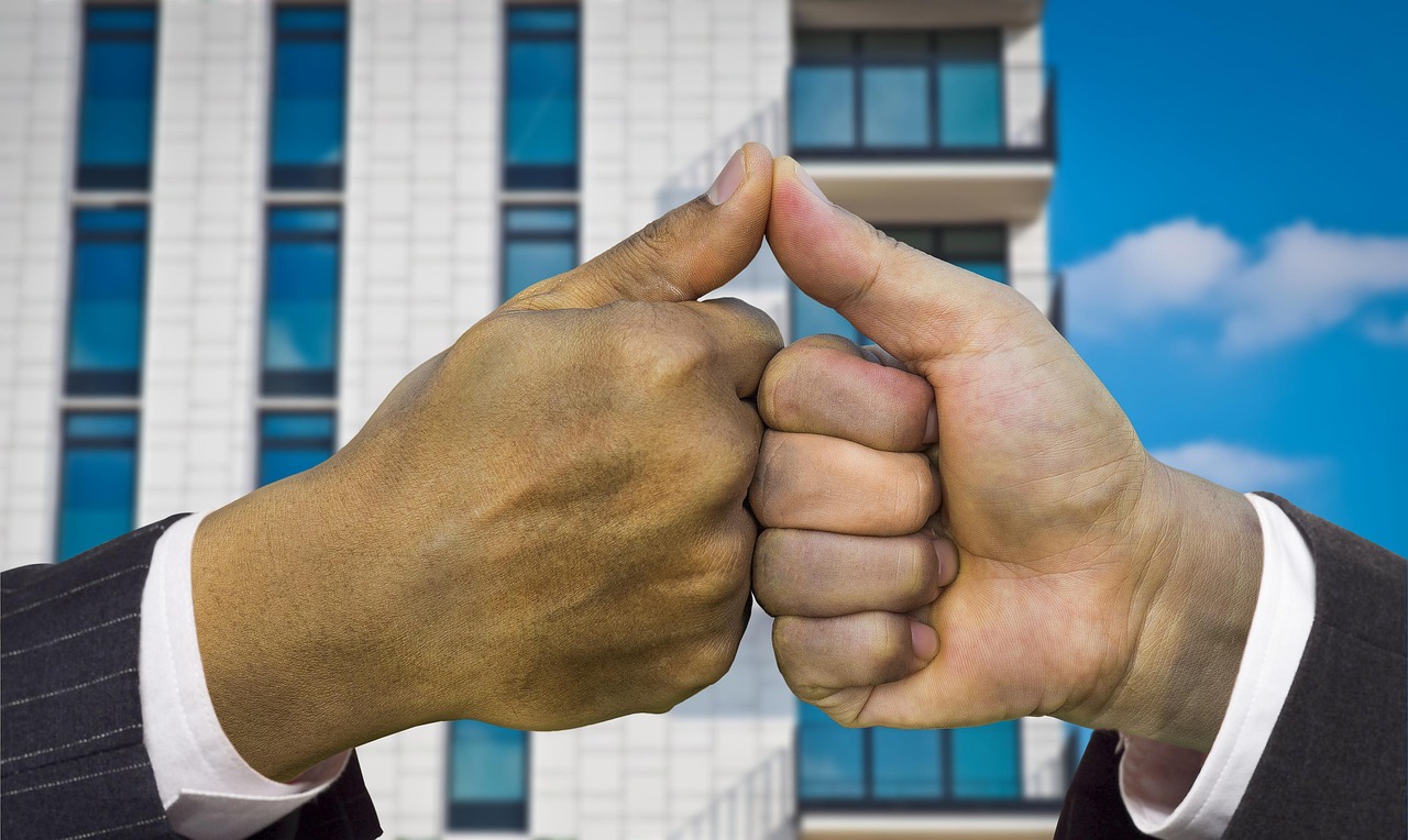 知心鸟app详情下载教程