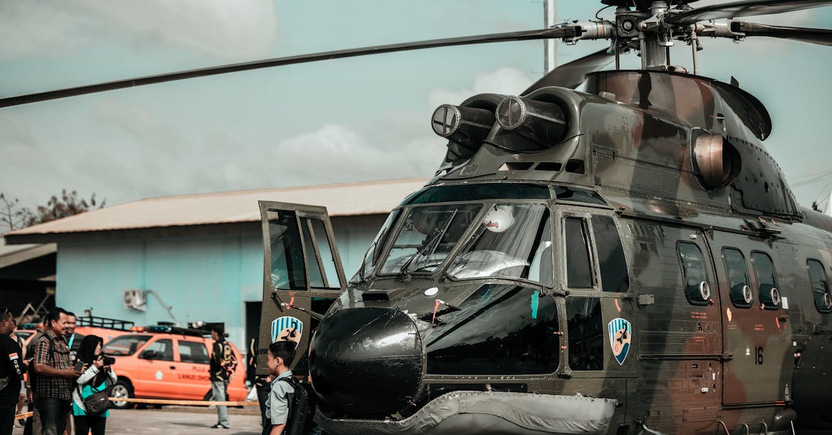 购买猫猫的平台