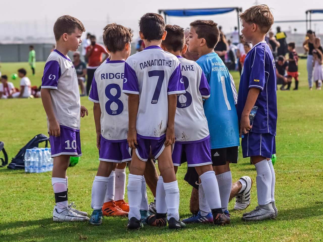 哪个平台购买玉米